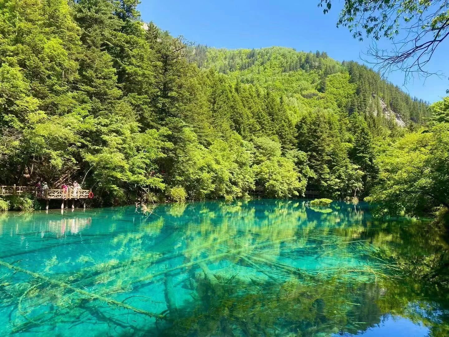 黄龙机场到九寨沟多远黄龙机场到九寨沟之旅