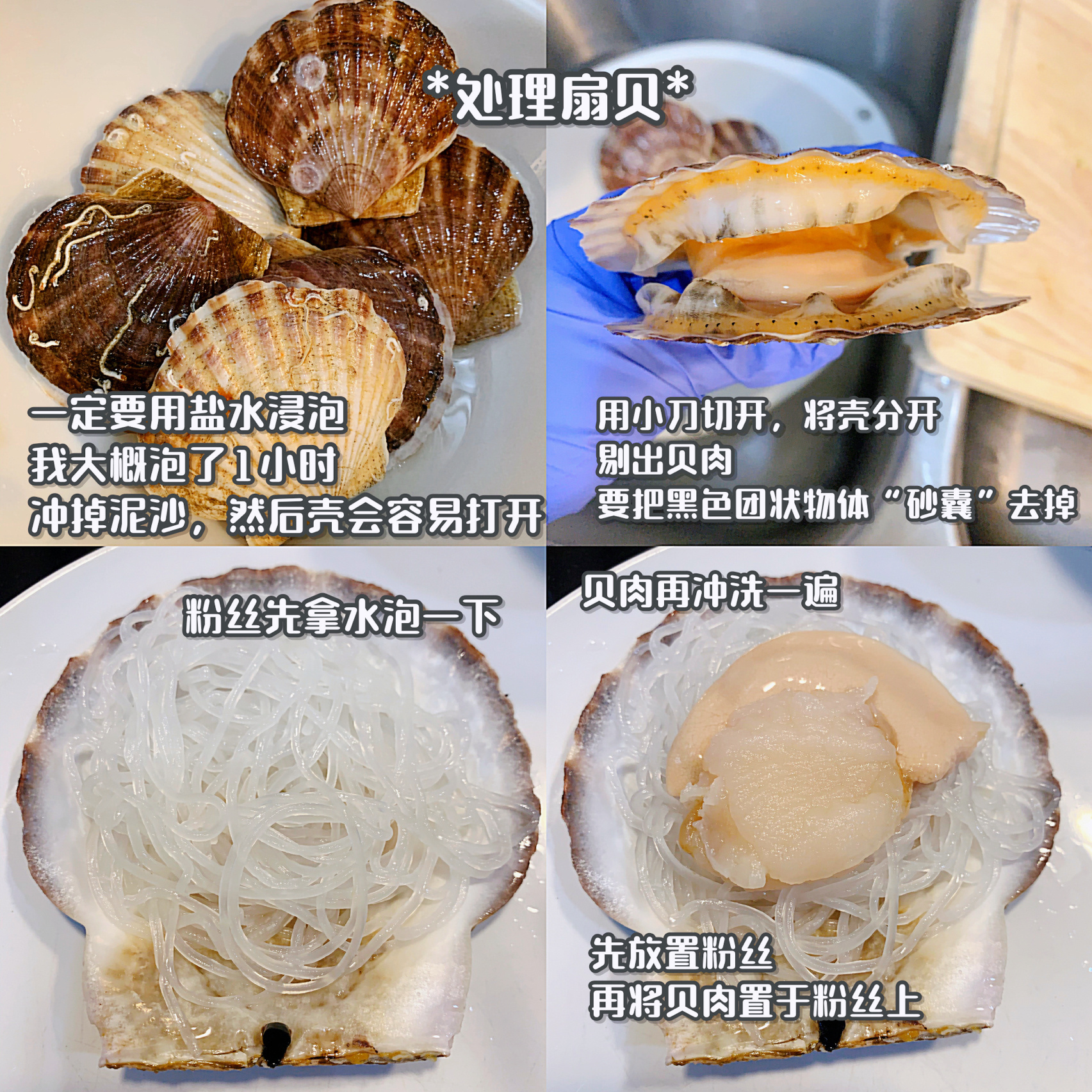 把腿再抬高一点就能吃到扇贝