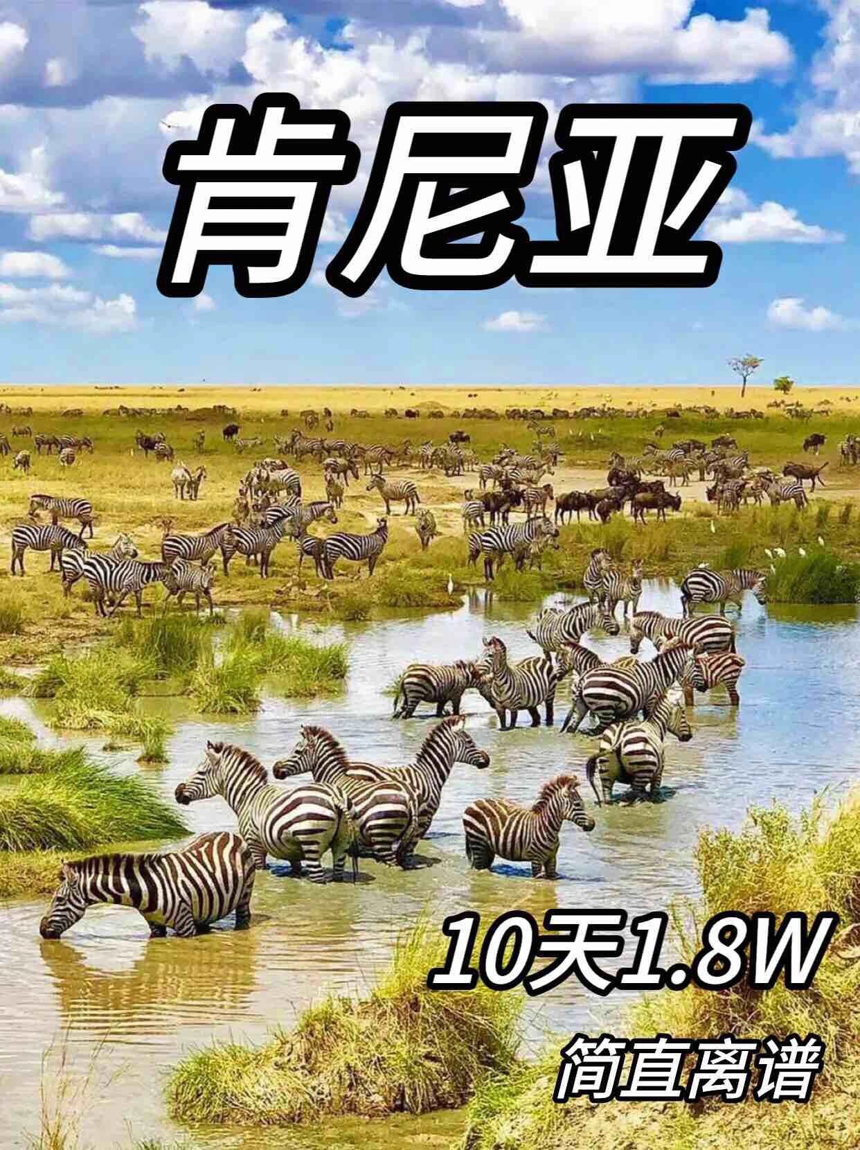 d2 天堂 无限d2天堂破解版无限看，探索游戏世界的神秘之门-第2张图片