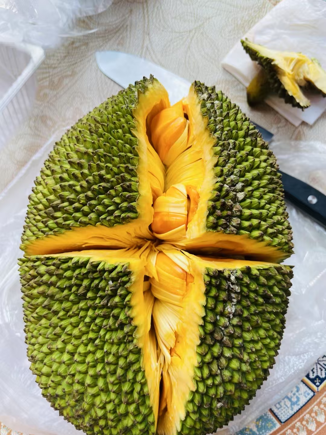 菠萝菠萝蜜免费观看影视菠萝菠萝蜜免费观看影视