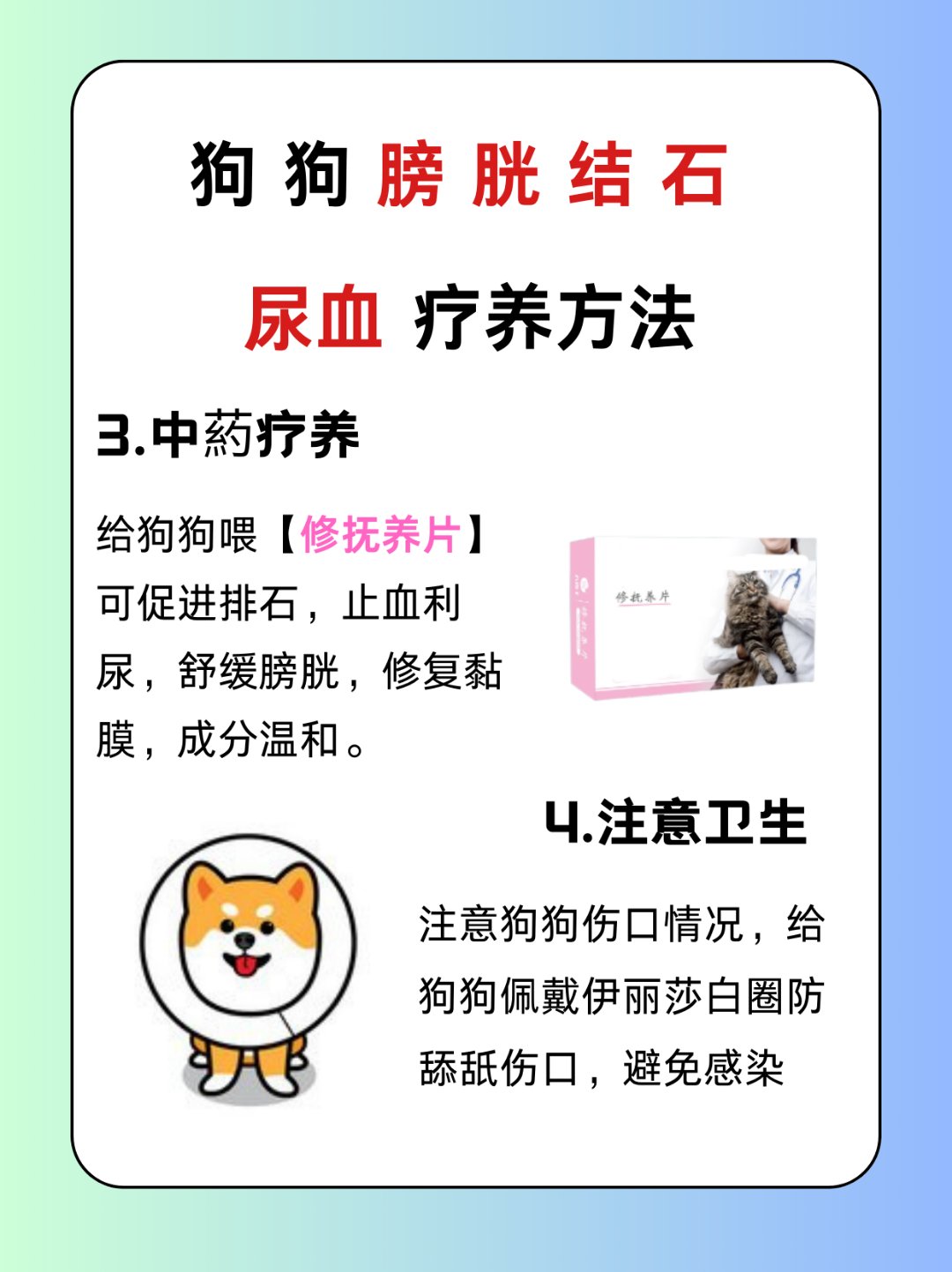 主人尿在肚子里不能流出来