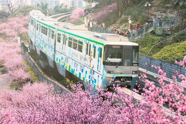 广州到重庆，一座城市的跨越之旅