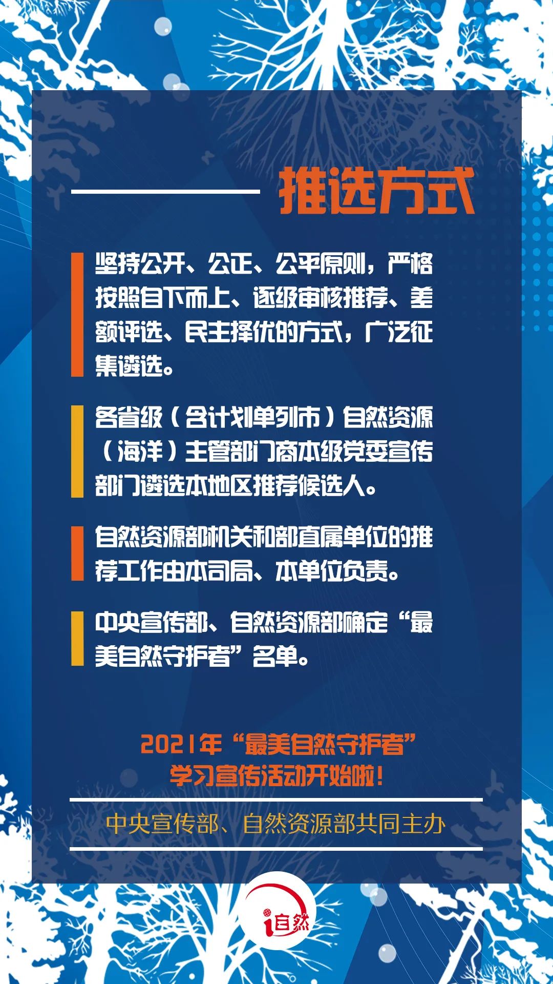 草神，自然的守护者-第1张图片