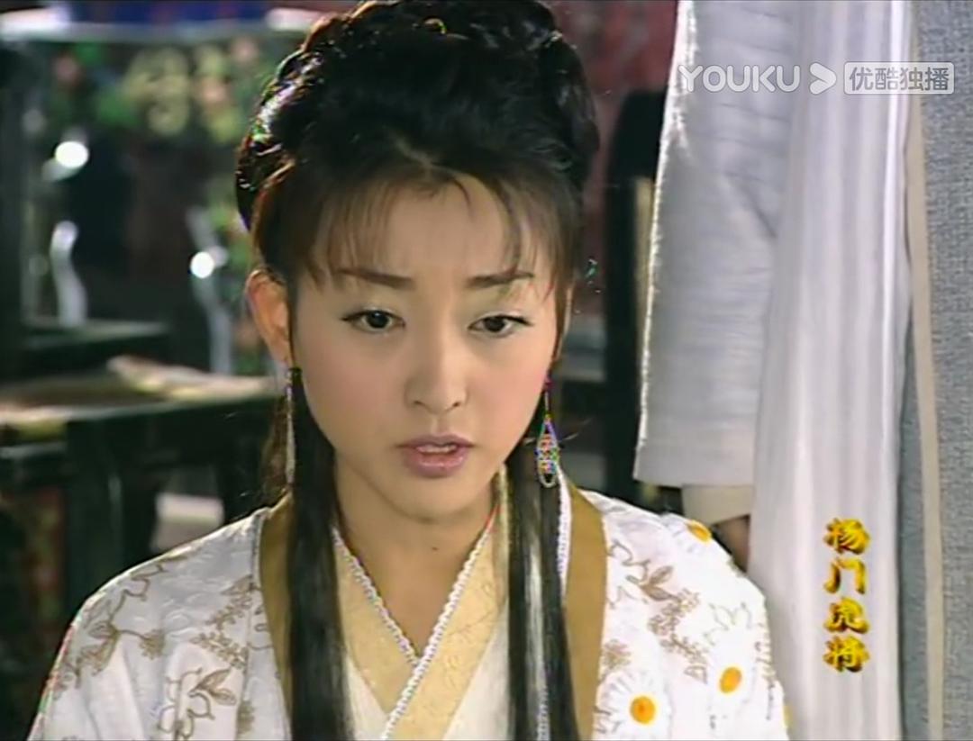 杨门女将外传