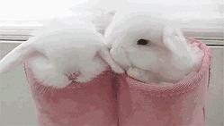 男生咬我小兔兔动图男生咬我的小兔兔-第3张图片
