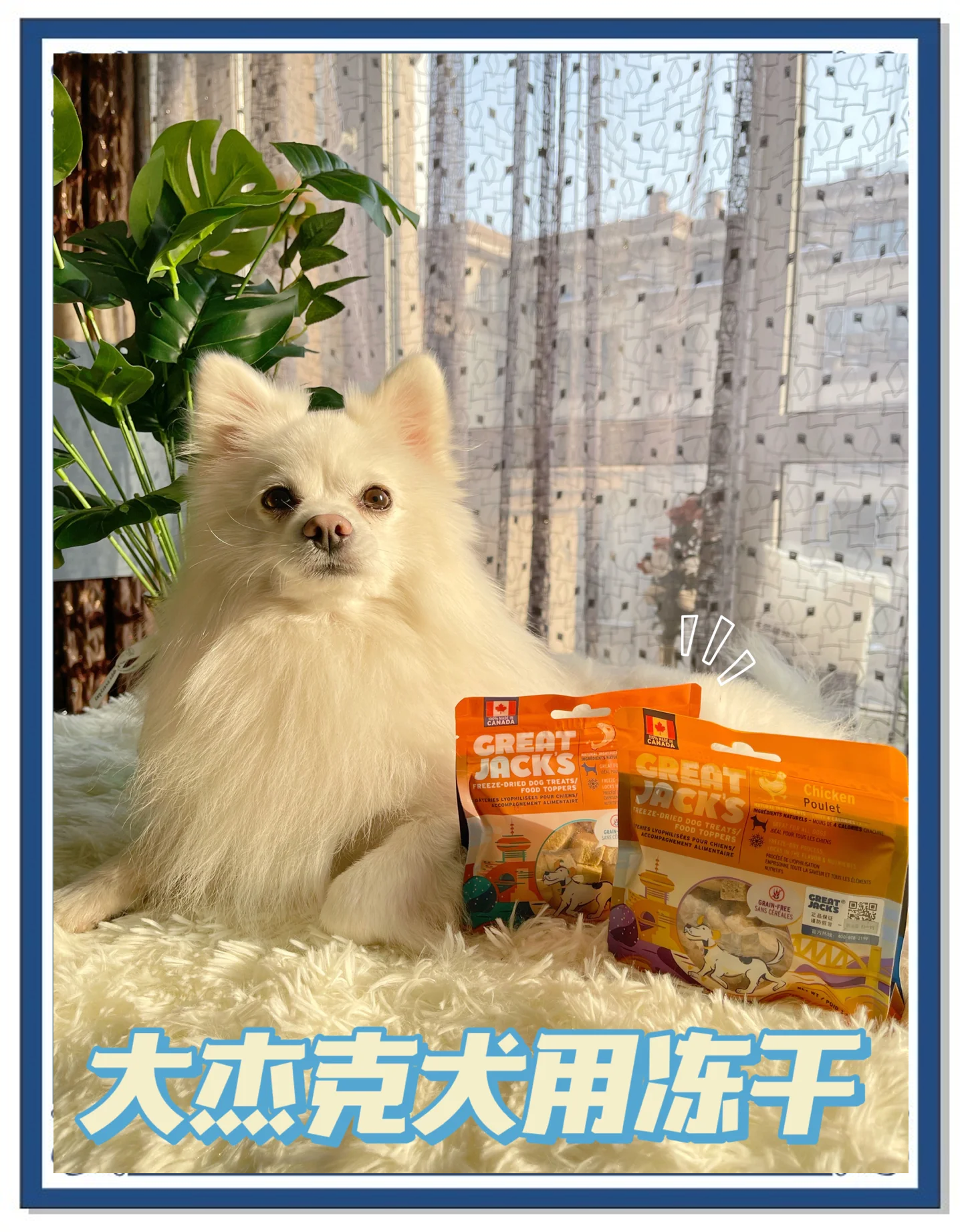 狗的东西比男朋友还大怎么办呢狗的东西比男朋友还大，这是一个让人头疼的问题。面对这种情况，我们需要冷静思考，采取适当的措施来解决。