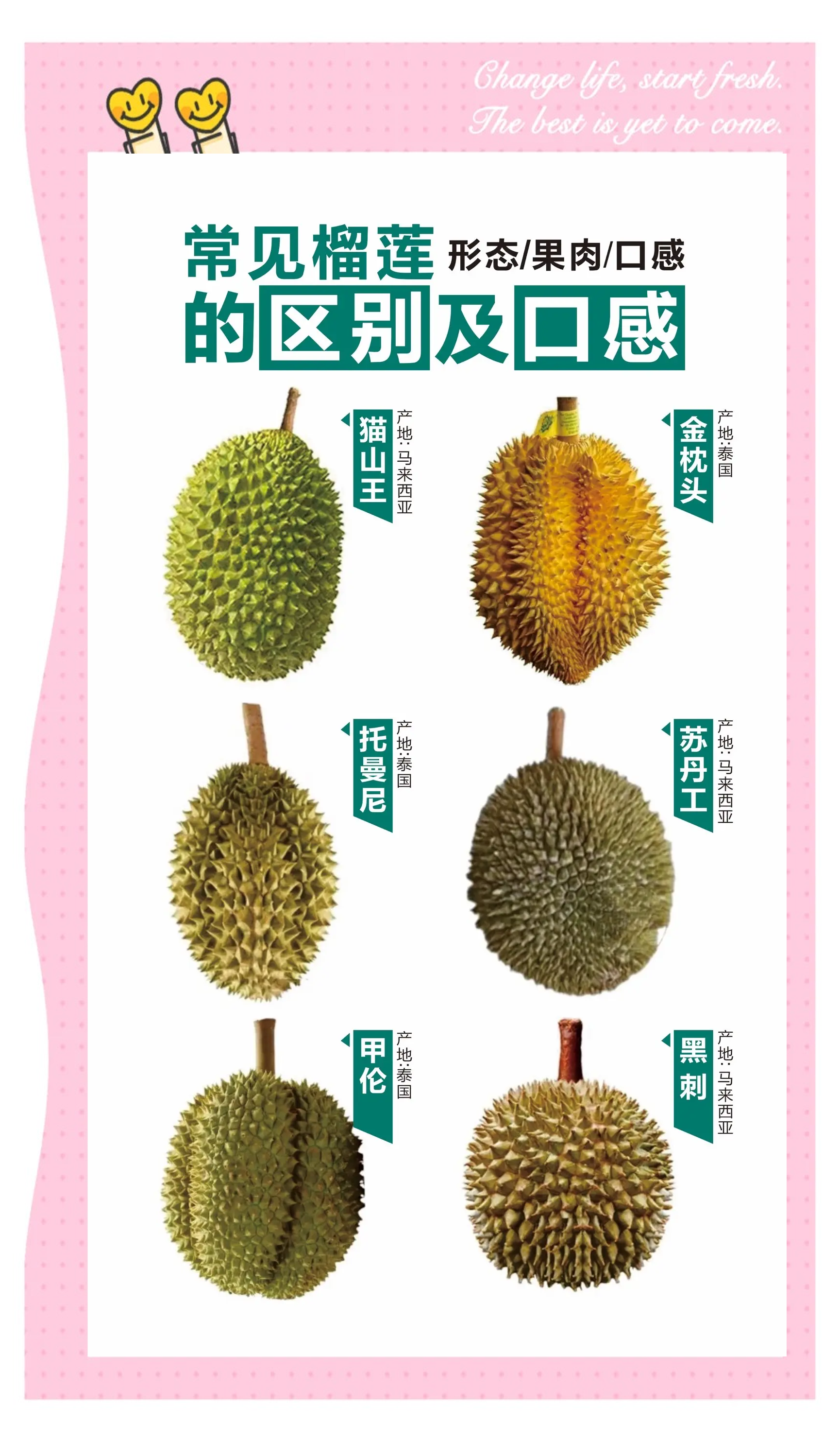 榴莲视频app下载安装榴莲视频APP下载安装指南