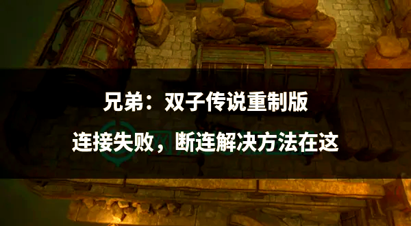 兄弟，双子传说