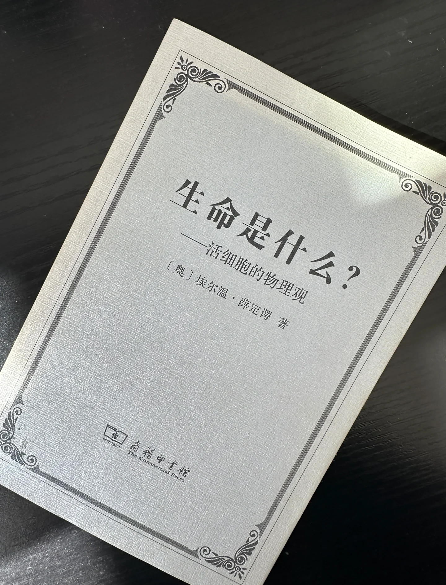 生与死4，生命的探索与思考-第2张图片