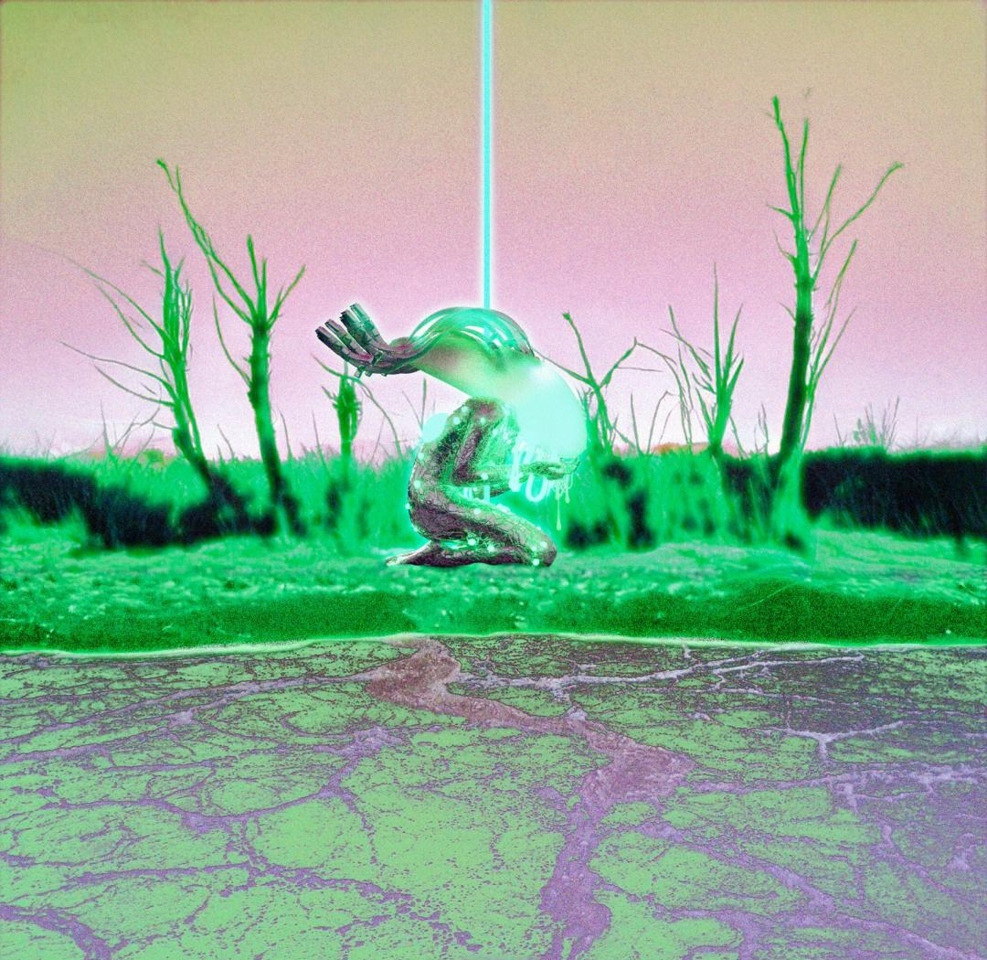 三毛图库3D，探索数字艺术的新世界-第3张图片