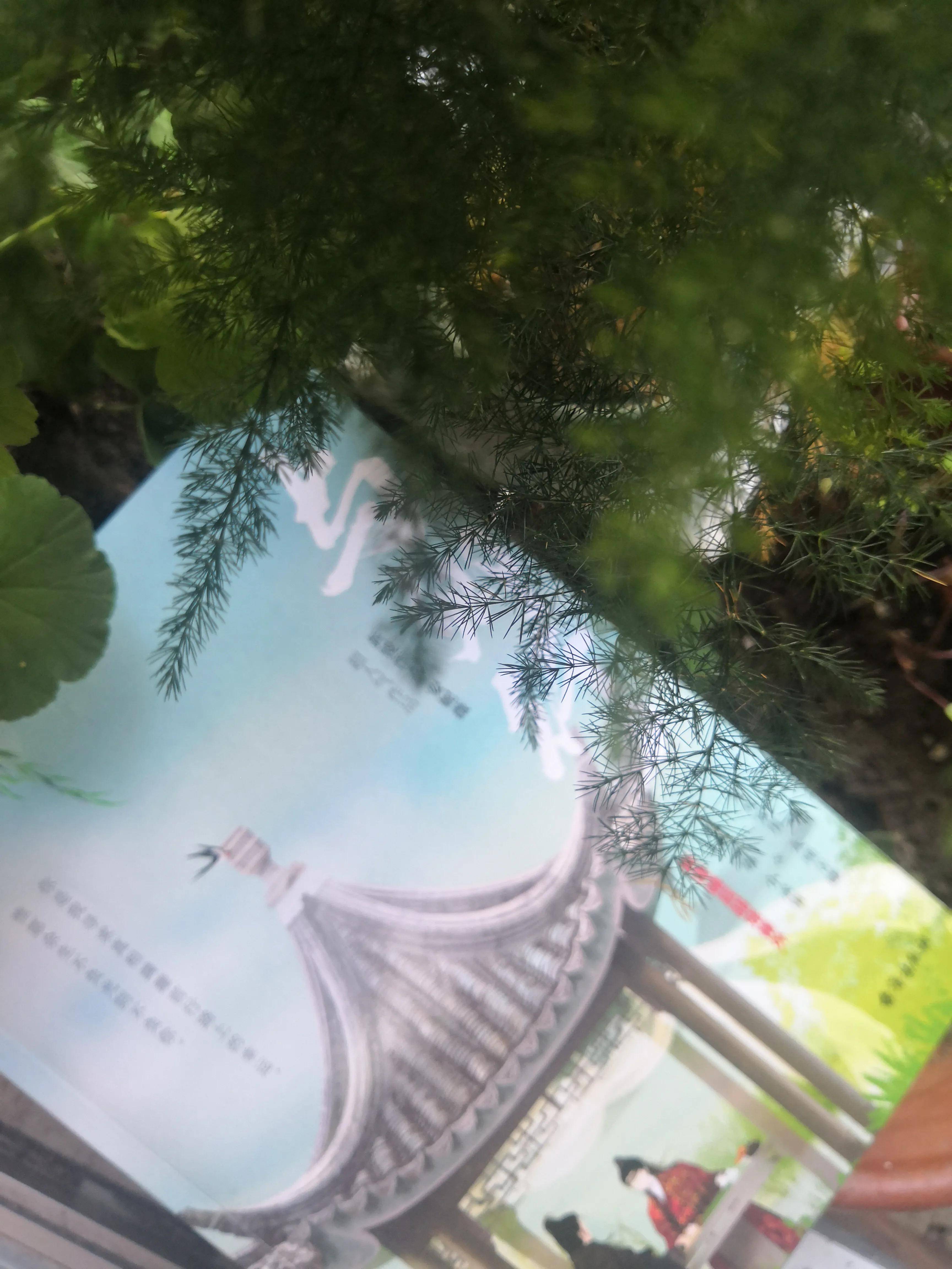 大理寺卿po林晚卿笔趣阁大理寺卿探秘林晚卿-第2张图片