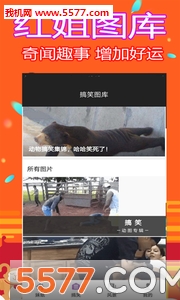 红姐图库最新传密红姐图库紧急通知-第2张图片