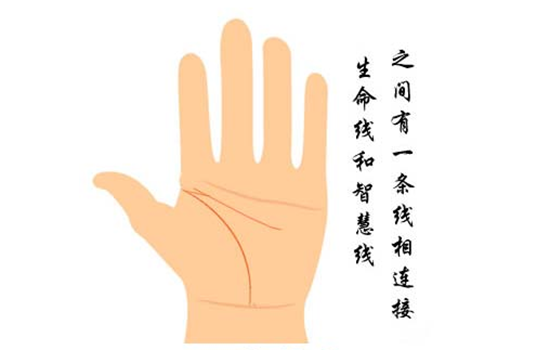 生命线lifeline生命线，生命的支柱与连接