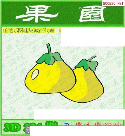 乐透乐，彩票之魅力与人生启示