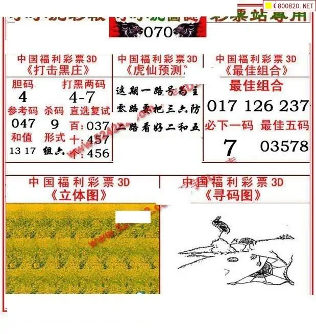 今日3d字谜今日3D字谜