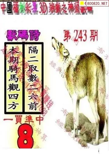 3D字谜图谜论坛，探索神秘世界