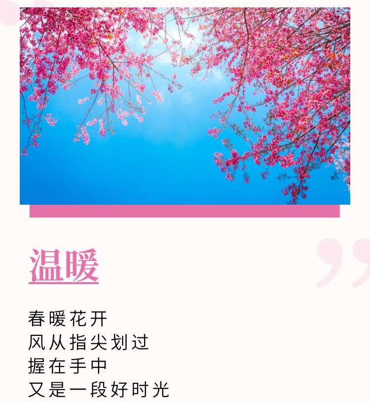 完美名字完美名字，赋予生命与希望的象征