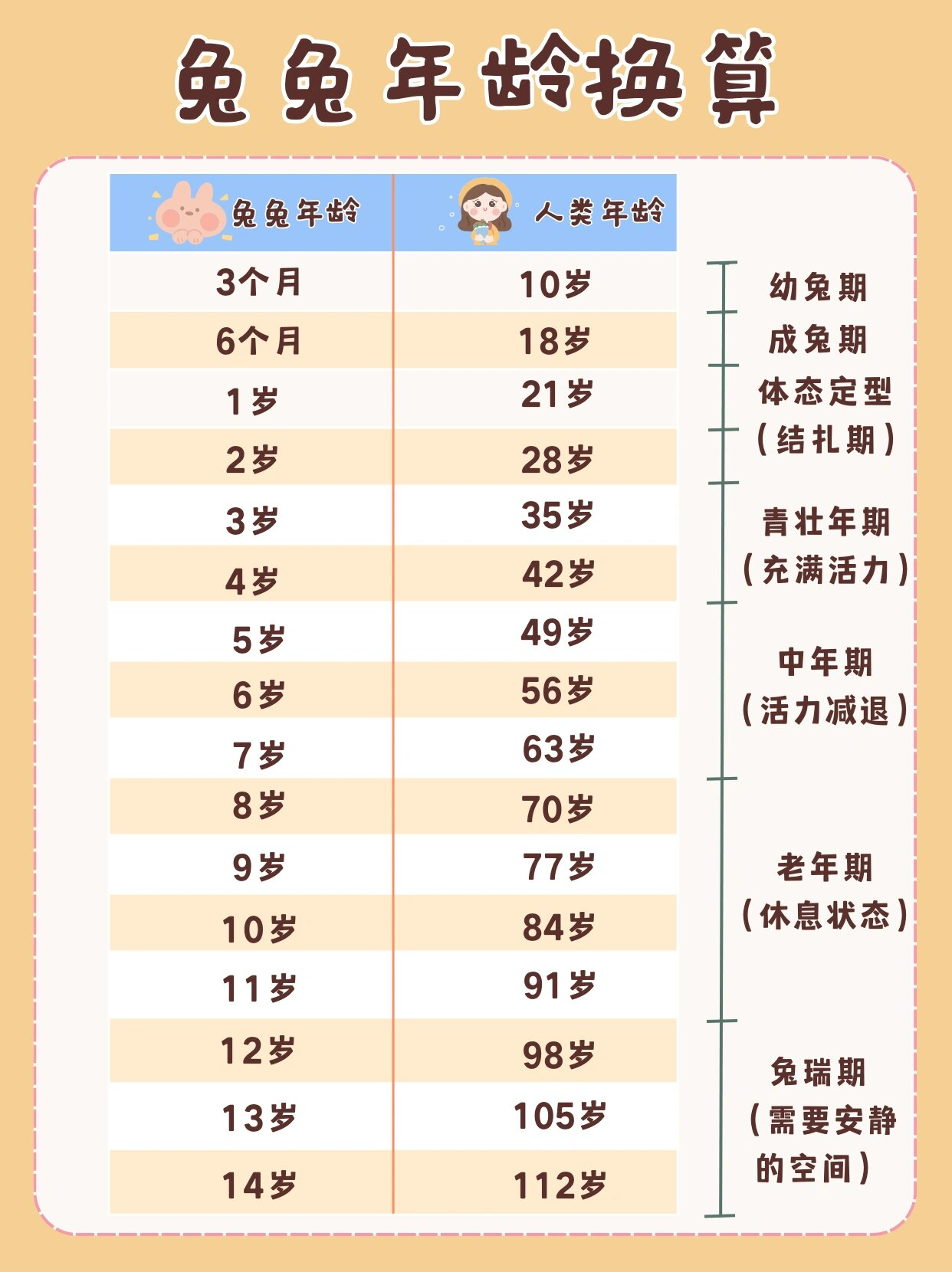 老师的小兔子好大好软水好带老师的小兔子好大好软