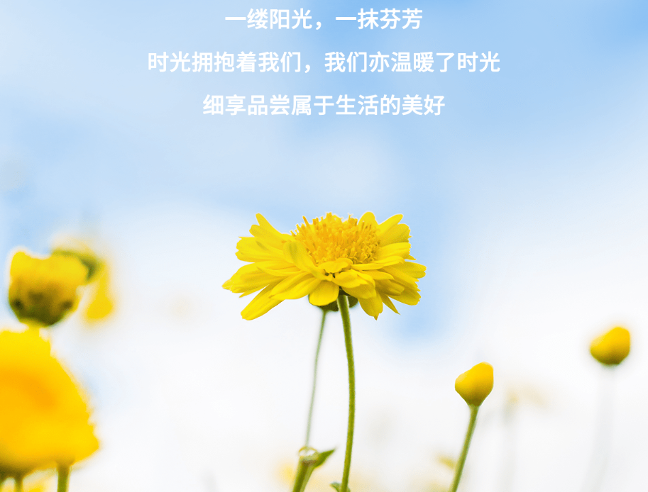 年龄18，青春的确认与成长之路