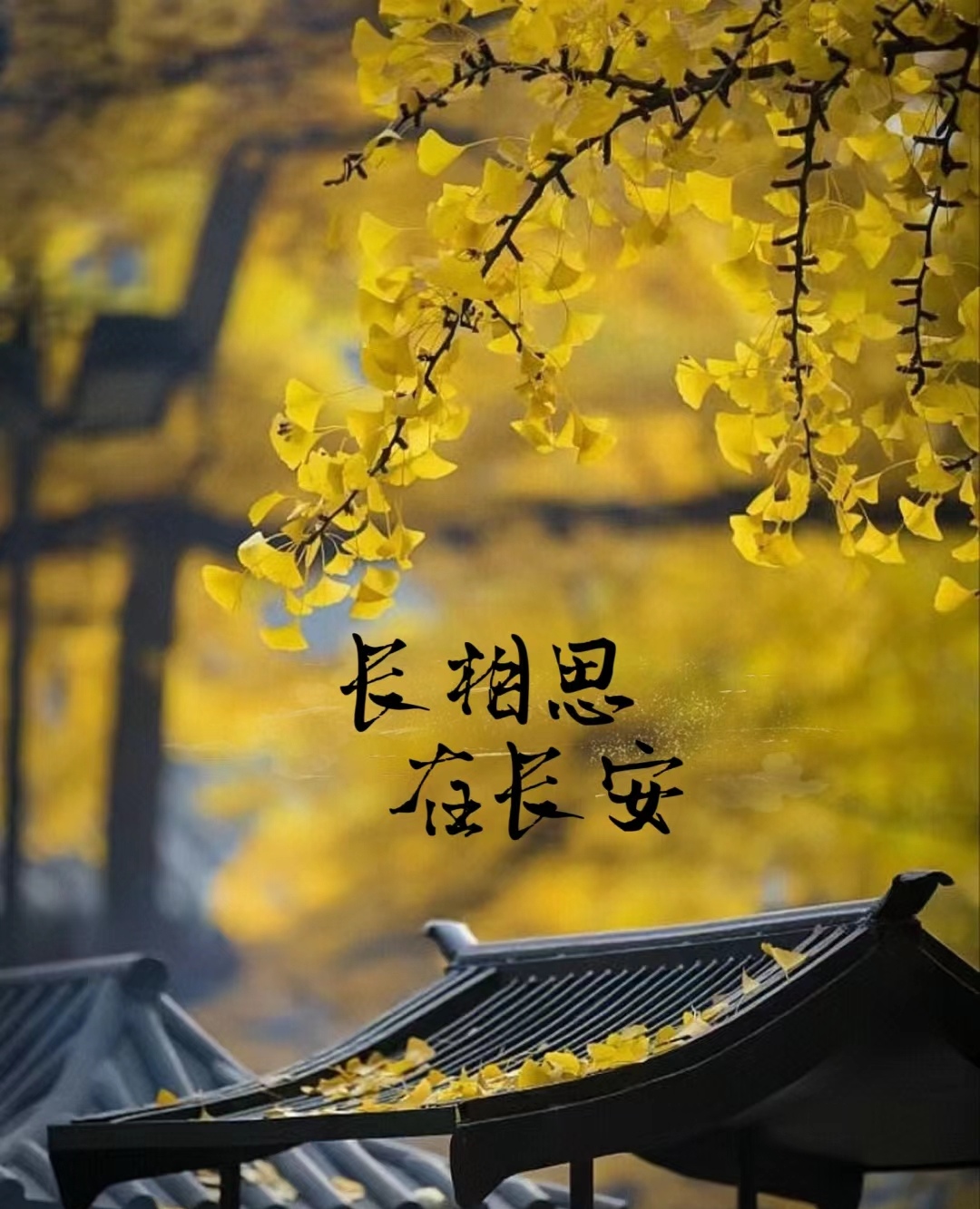 此诗送此城怎么触发此诗送此城-第3张图片