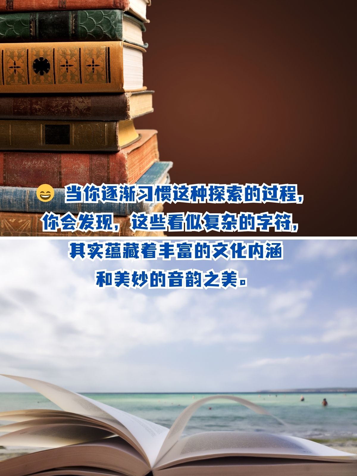 虾米网站，探索网络世界的神秘角落-第2张图片