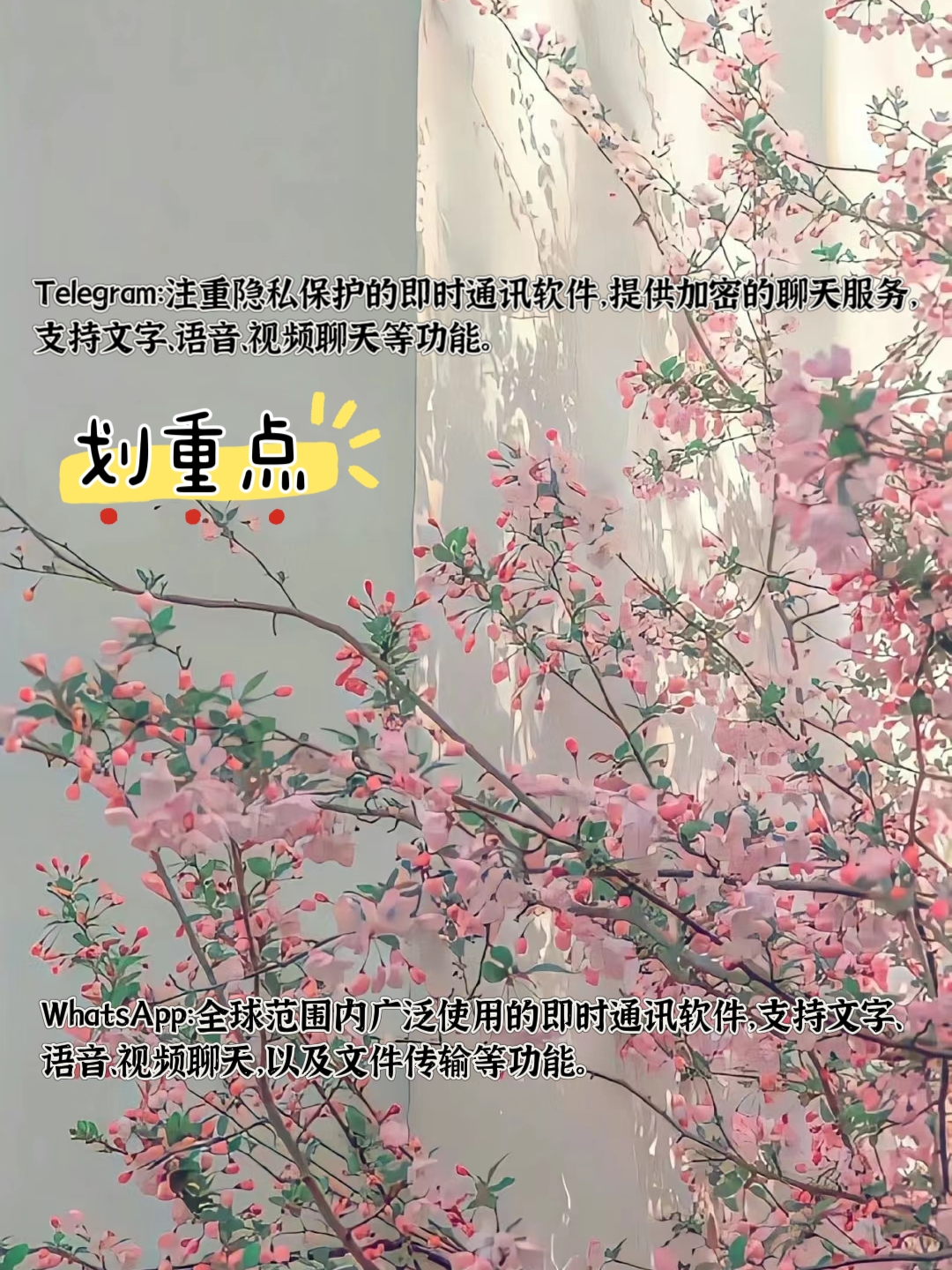 一对一大尺度聊天APP安装与隐私保护