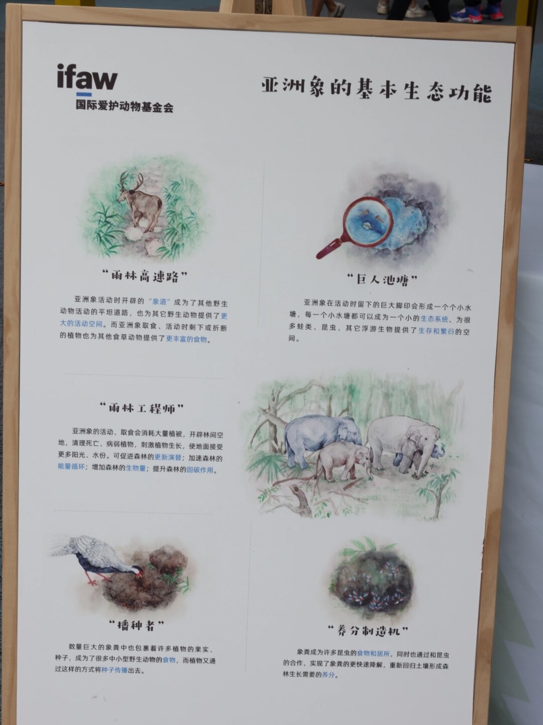 人和物动物交互在线中的作用是什么人和物动物交互在线中的作用