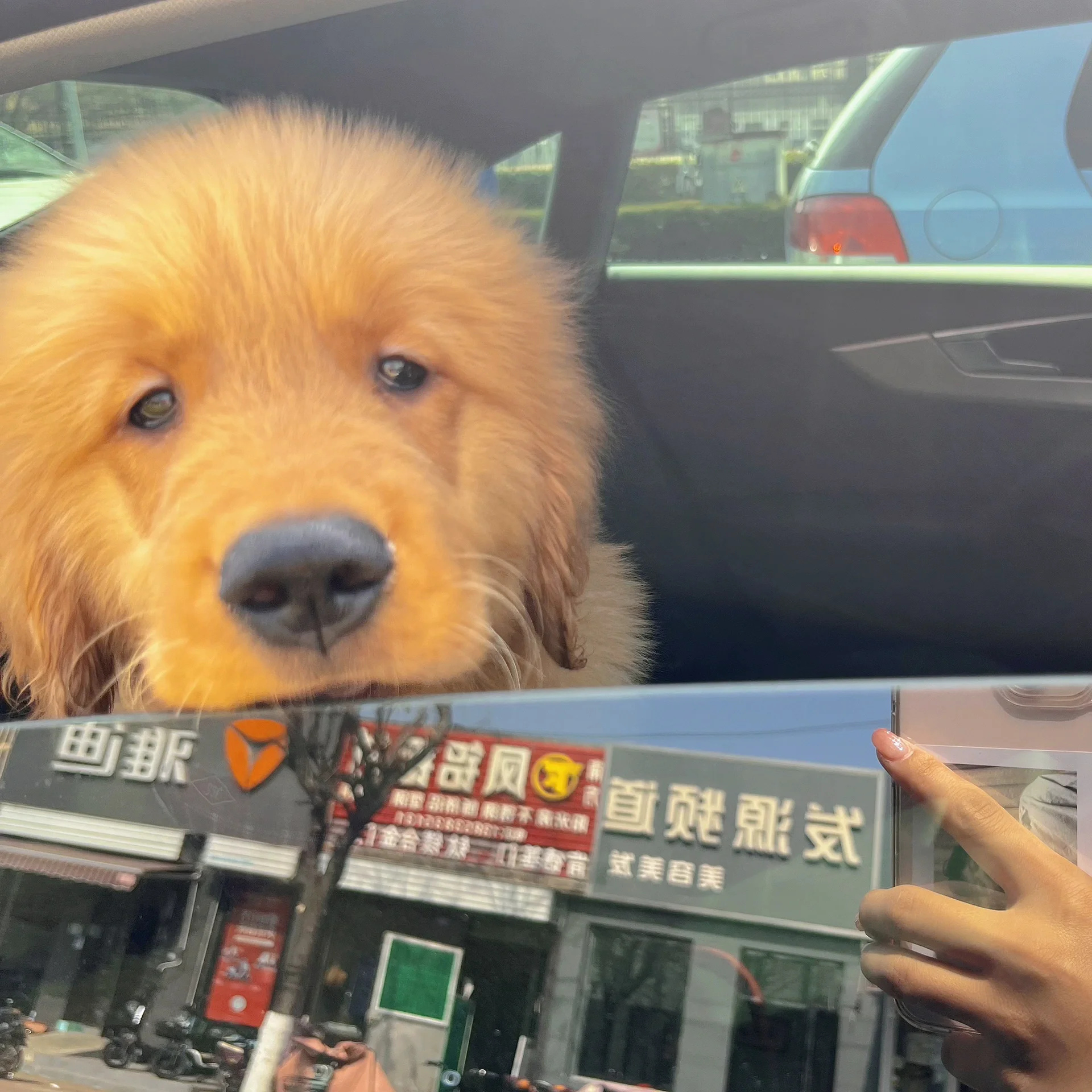 色狗AV影院，探索色情新世界-第1张图片