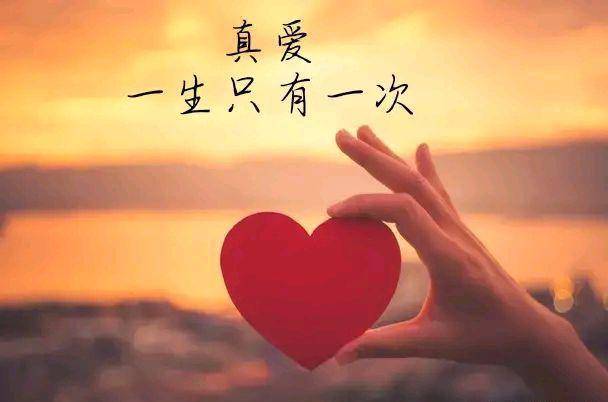 一个人免费视频在线观看高清直播-第3张图片