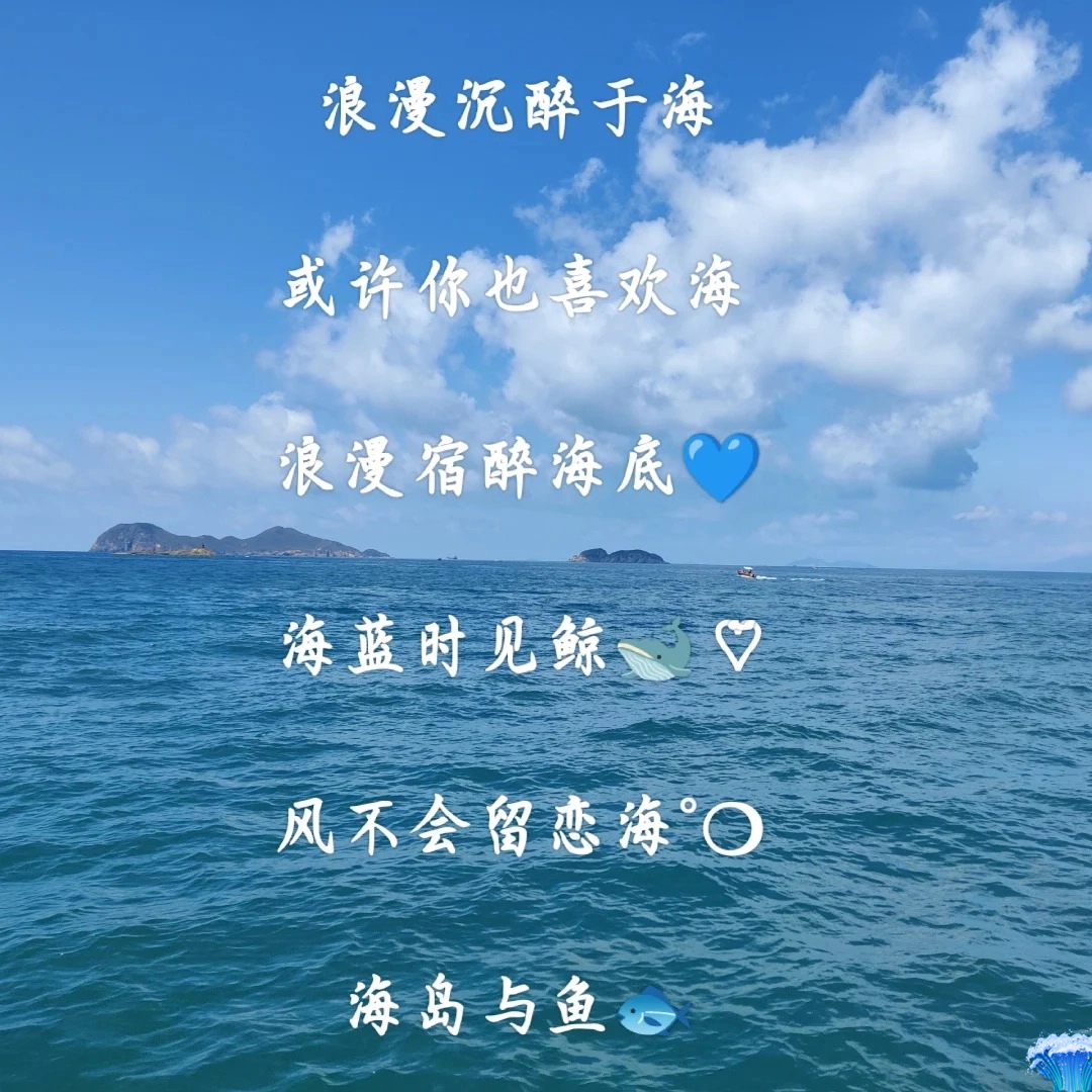 微风网名是什么意思微风网，探索自然之美与科技之变-第2张图片