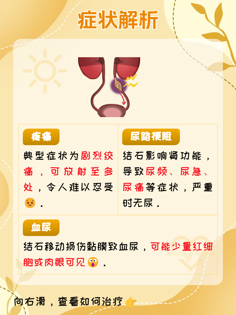 主人尿在肚子里不能流出来怎么办主人尿在肚子里不能流出来