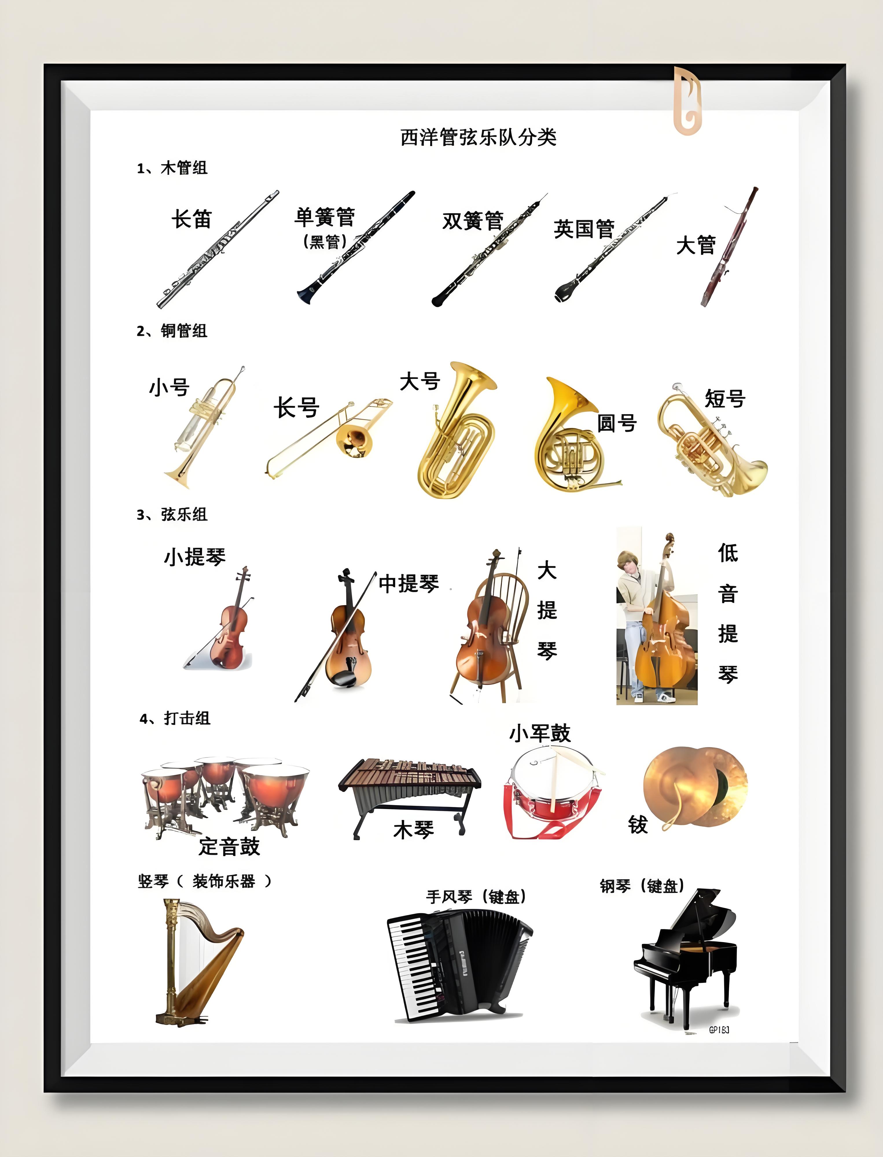 音符官网app音符官网，音乐世界的新起点-第2张图片
