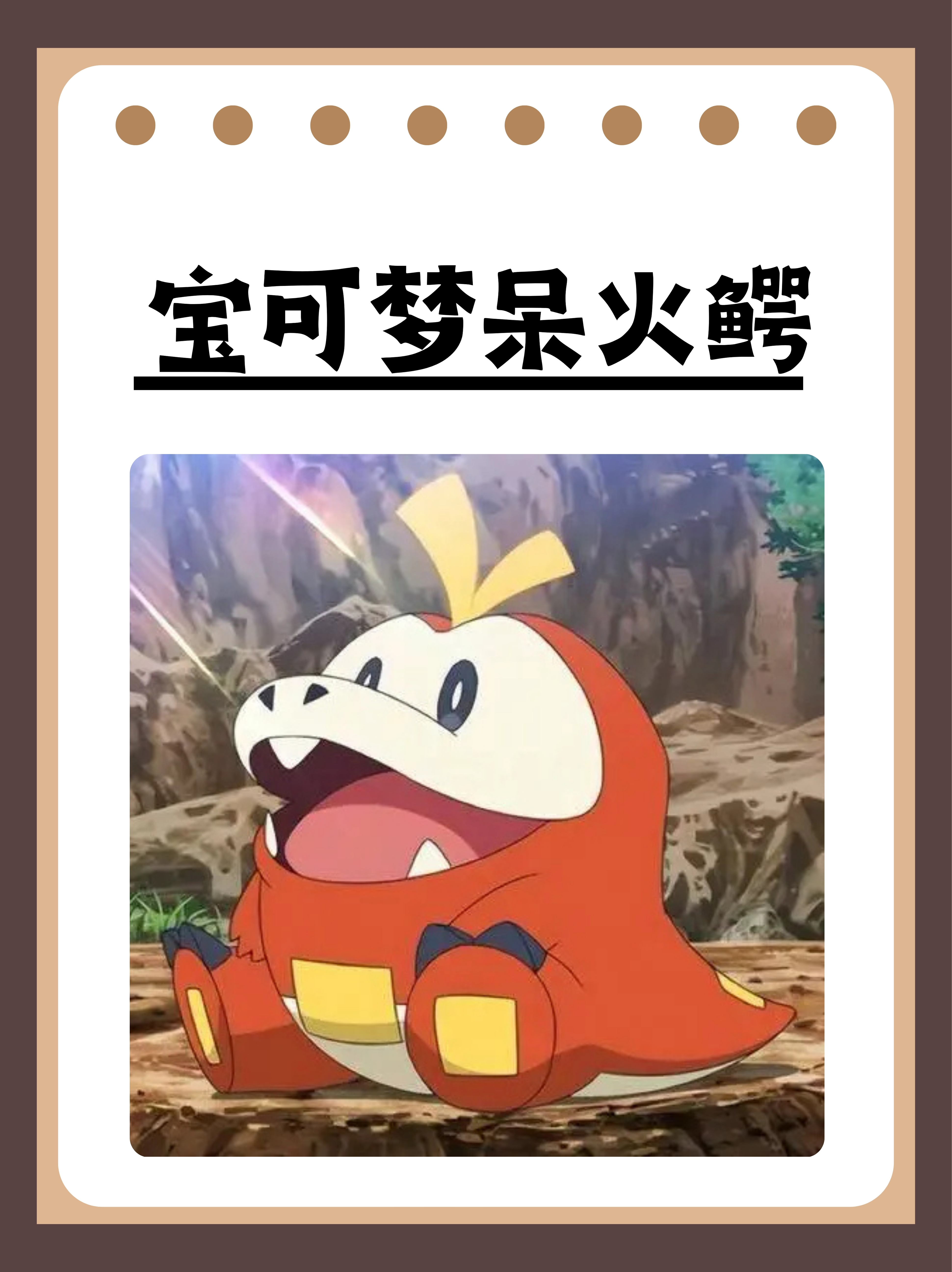 嘟嘟猫观察日记嘟嘟猫，萌宠界的璀璨明珠