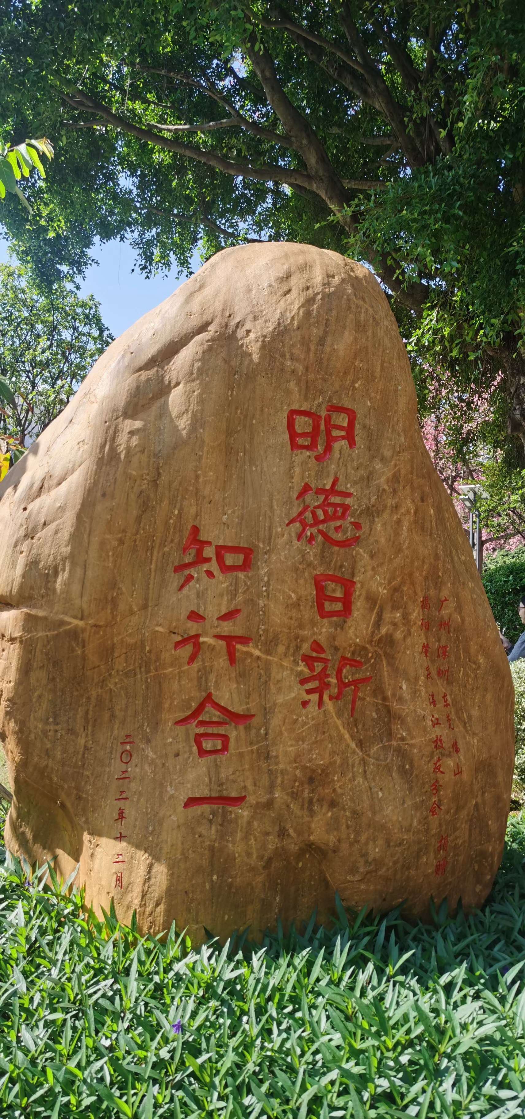 花季传媒黄老版本下载花季传媒黄老版本，青春的印记与传承