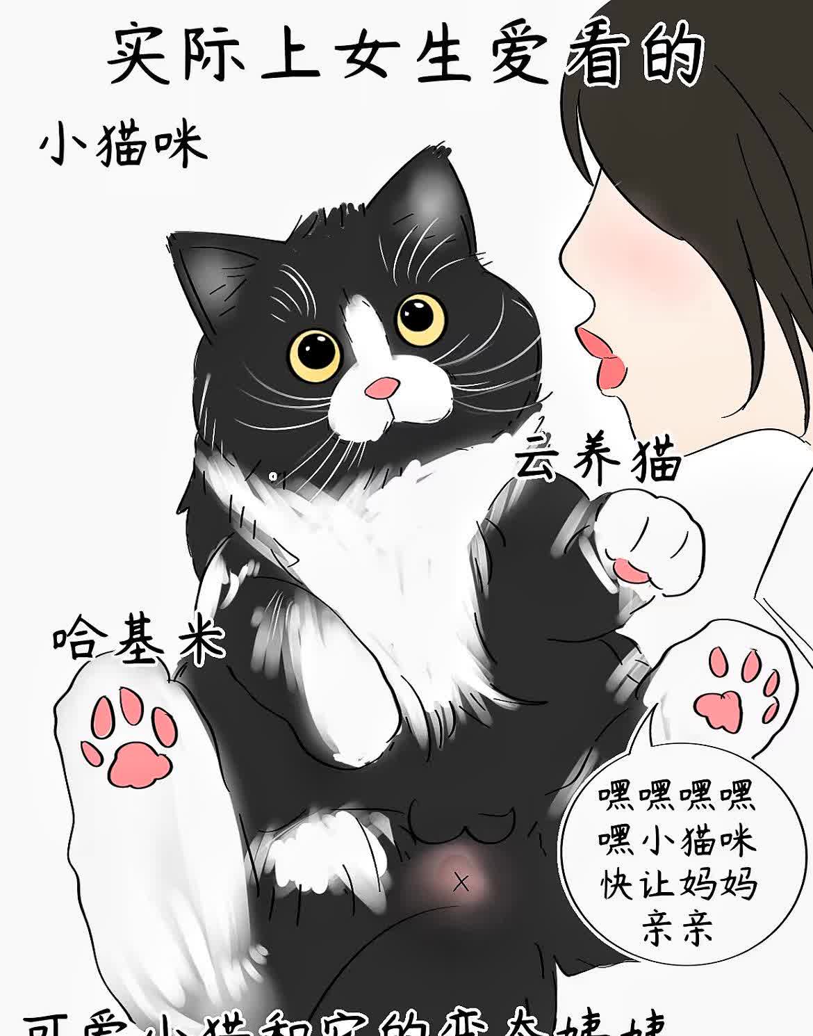 把腿再抬高一点就能吃到扇贝了动漫kb把腿抬高一点，就能吃到扇贝的美味-第1张图片