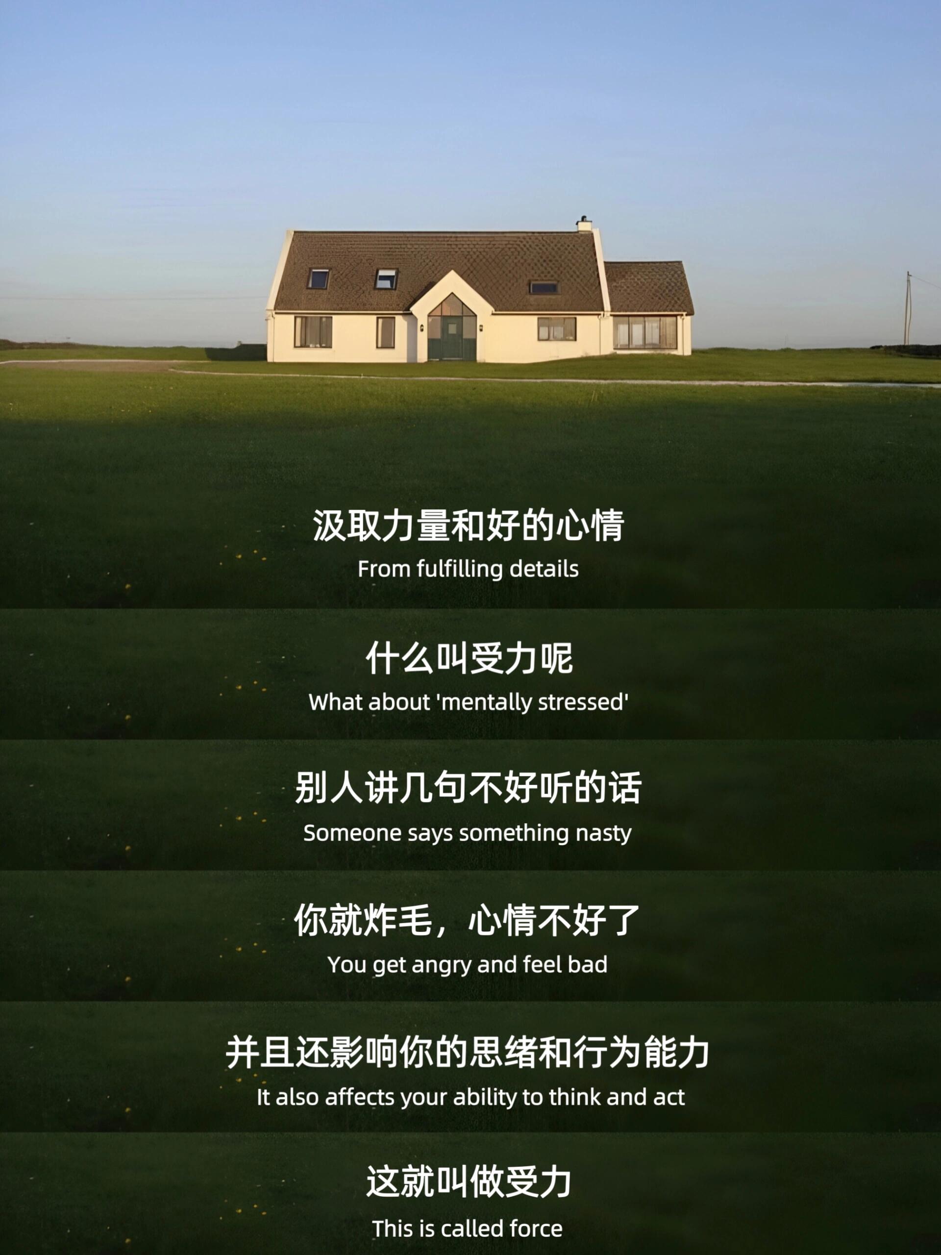 一个接一个做了哪些事一个接一个的行动，我经历的旅程