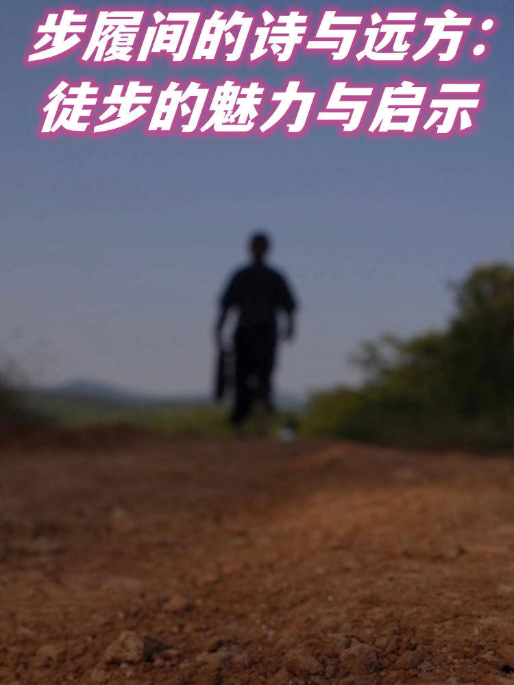 美国十次 导航美国导航之旅，十次探索与启示