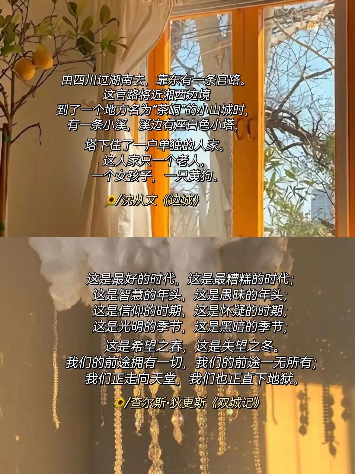 天堂资源中文最新版在线一区天堂资源中文最新版在线一区，探索无限资源与智慧-第1张图片