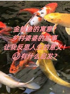 乡村大战老妇乡村大战老妇-第1张图片