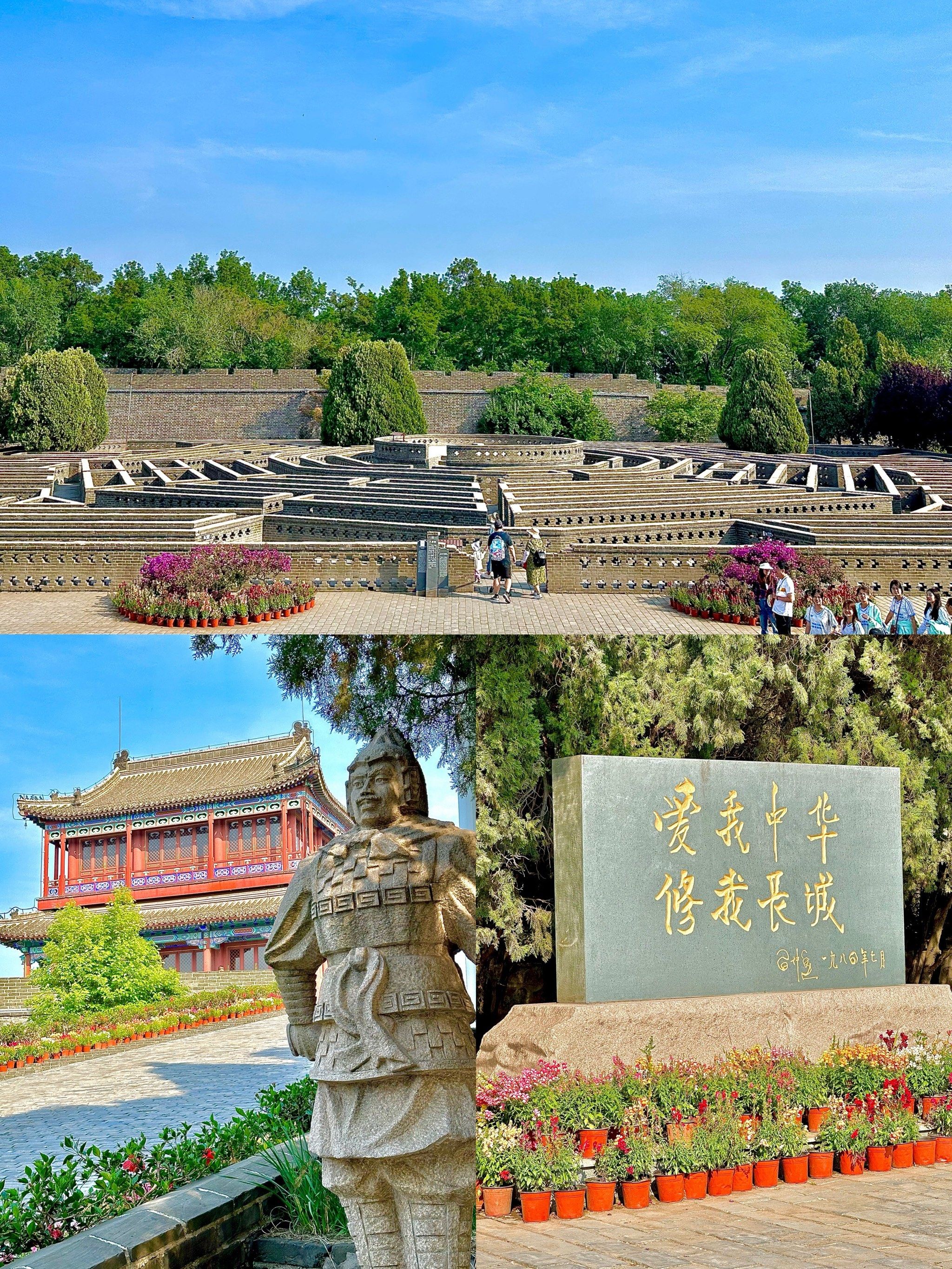 一网天下，网络时代的全景解读