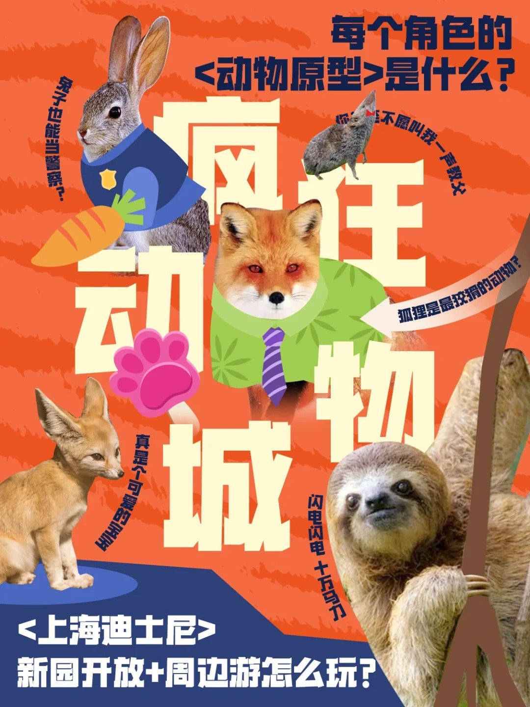 朱迪攻略-第2张图片