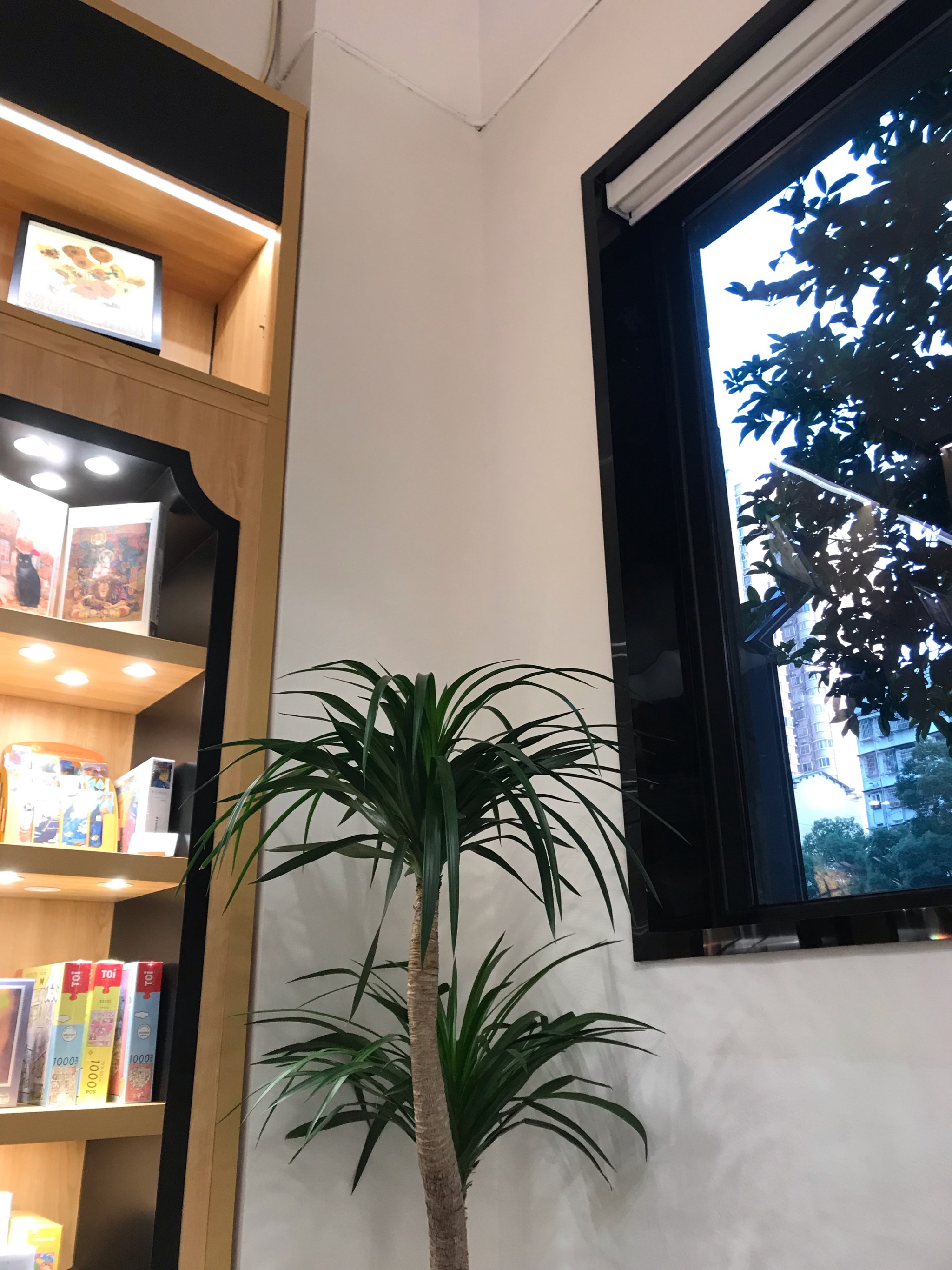色书吧色书吧，沉浸在书香的世界里-第2张图片