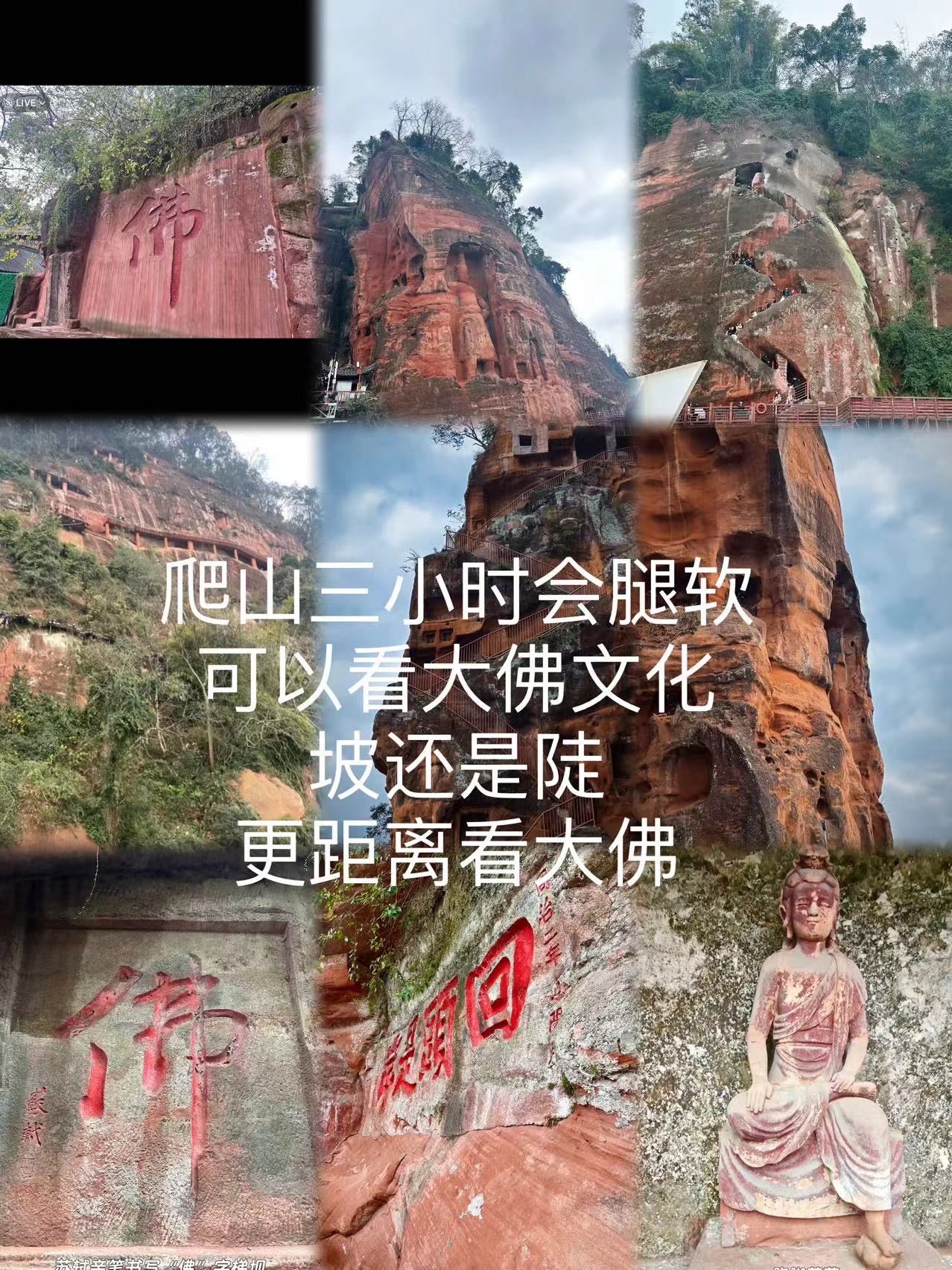 乐山大佛的门票多少钱一个人乐山大佛门票攻略-第3张图片