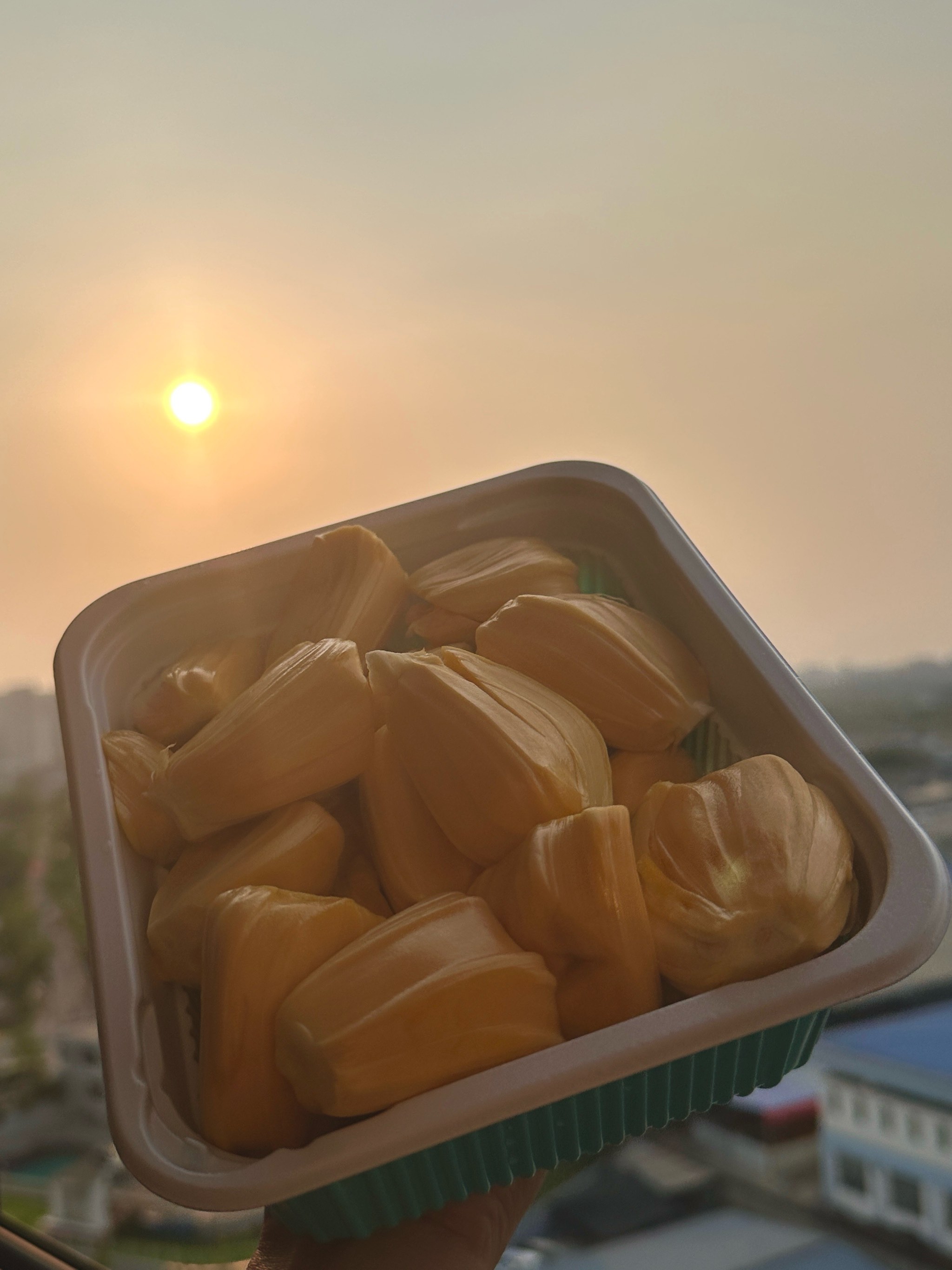 菠萝菠萝蜜手机在线观看