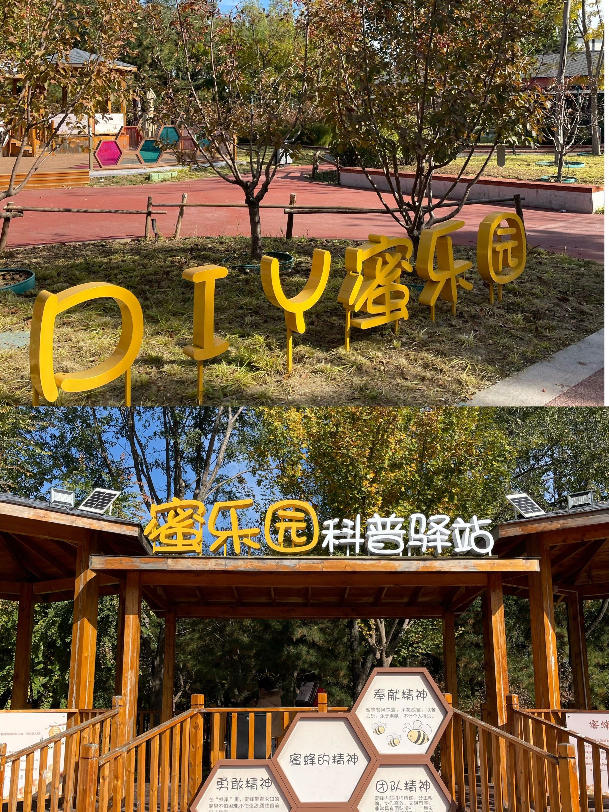 舔舐花蜜，蜜蜂的甜蜜之旅