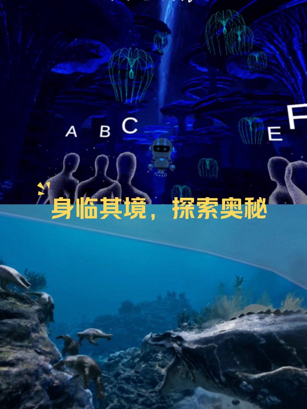 一次性看个够视频一次性看个够视频，探索无限精彩