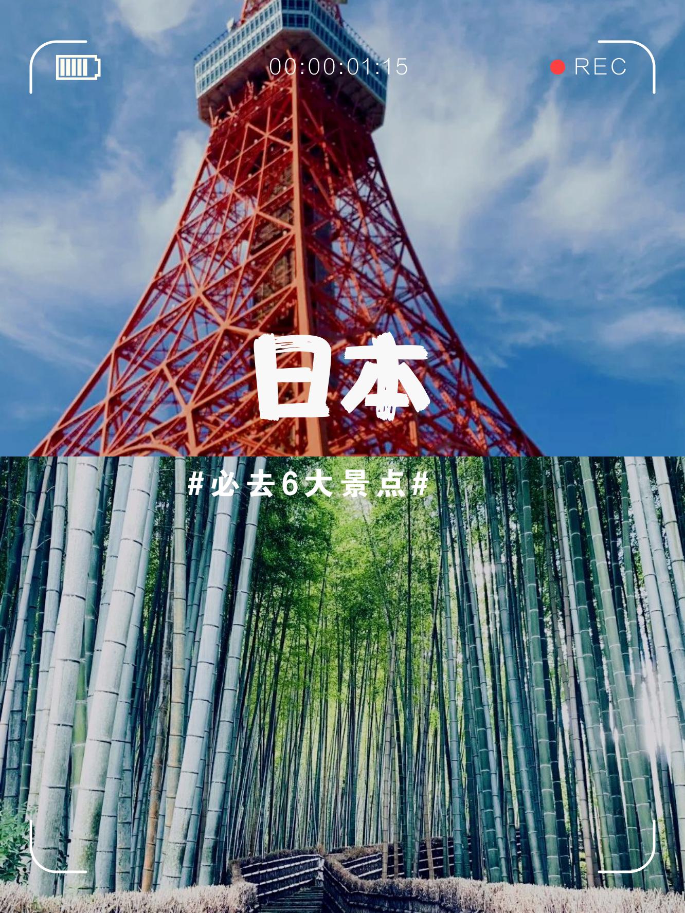 探索2y3y.com，数字时代的探索之旅-第1张图片