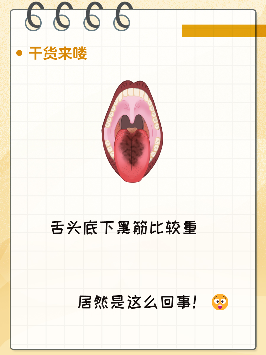 放在舌头下面的药探索神秘之物——往下面放像舌头的东西