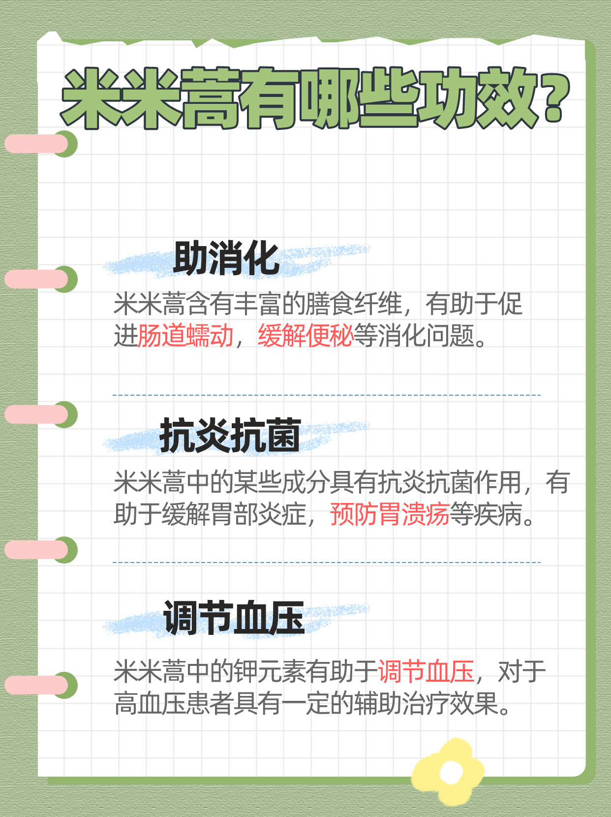 笔头菜，美味与健康的完美结合