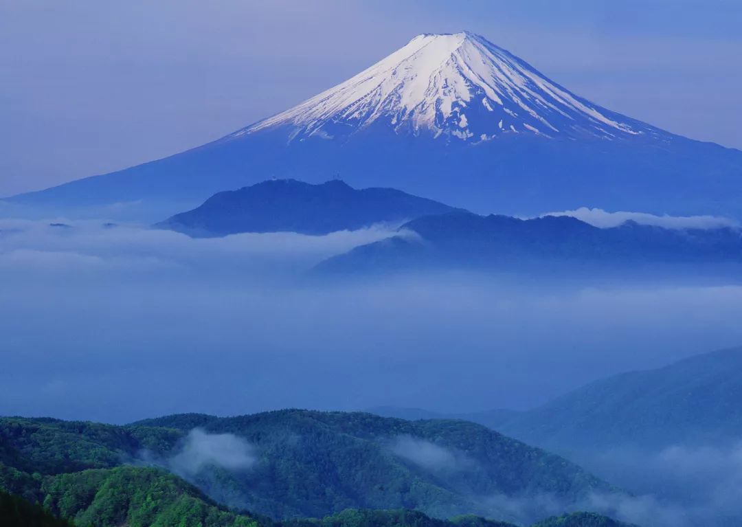 忘忧草社区日本在线，探索日本文化的魅力
